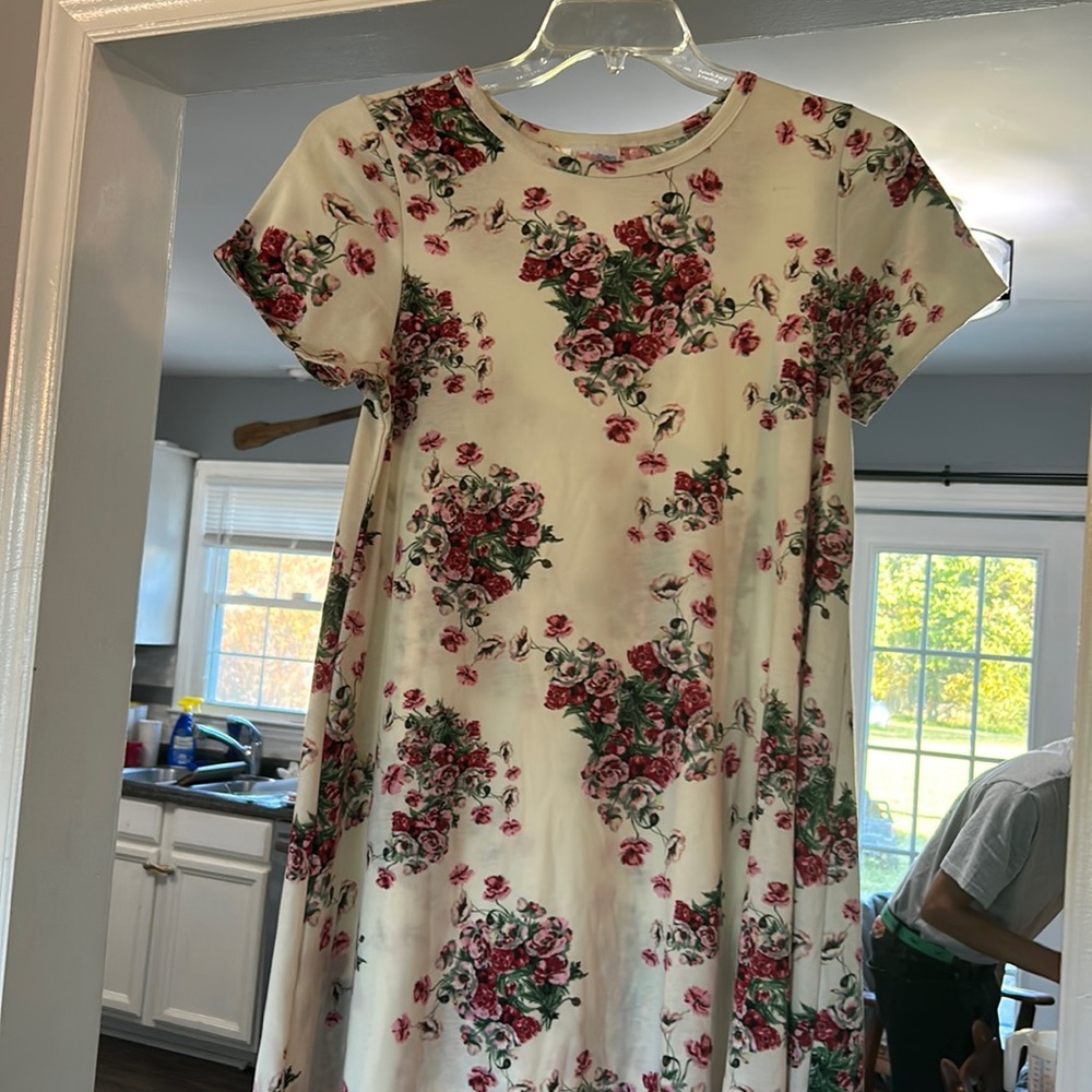 Lularoe Carly small.  Hi low hem new without tags! Never been worn!